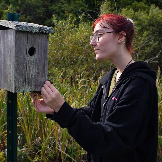 A student opening a bird house